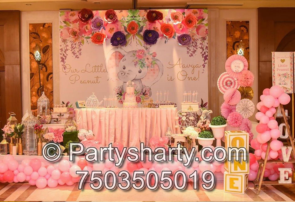 Little Peanut Theme Birthday Part, Birthday themes for Boys, Birthday themes for girls, Birthday party Ideas, birthday party organisers in Delhi, Gurgaon, Noida, Best Birthday Party Themes for Kids and Adults, theme-based birthday party